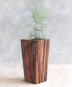 Masaya & Co. Large Hardwood Geo Planter Home Goods
