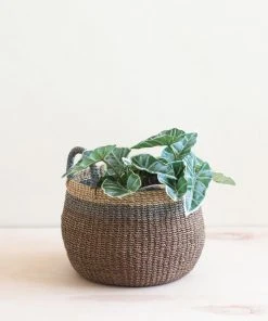 LIKHÂ Brown Tabletop Bulge Basket With Handles Home Goods