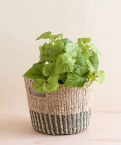 LIKHÂ Gray + Natural Tapered Basket