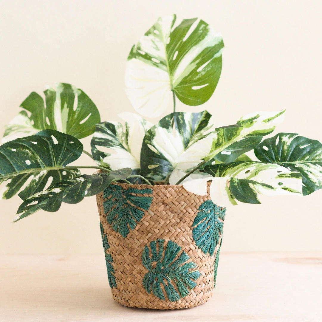 LIKHÂ Monstera Soft Planter Basket Home Goods LIKHÂ Monstera Soft Planter Basket Home Goods