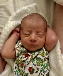 Lucky Bug Clothing Baby's Essential Bamboo Veggie Garden Onesie Kids' + Baby