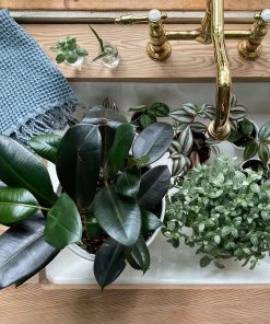 Amante Marketplace Meraki Turkish Hand Towel