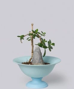 Middle Kingdom Planters + Vases Footed Porcelain Vase - Denim