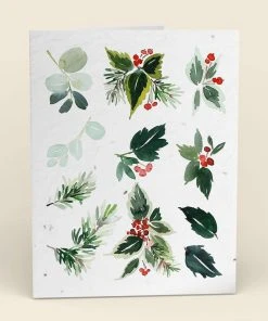 Cute Root Mistletoe Plantable Cards - 10 Pack