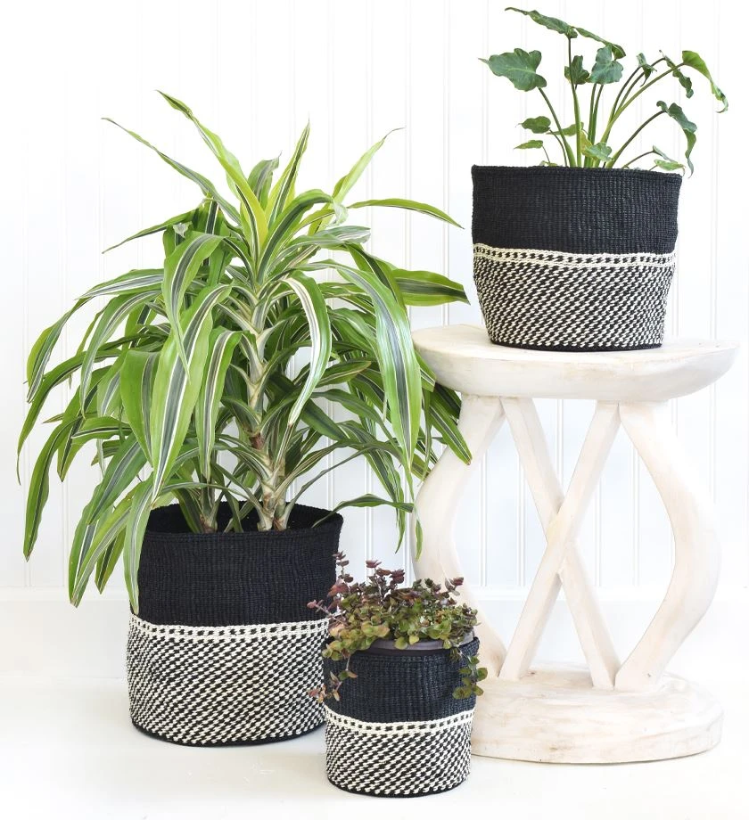 Swahili African Modern Home Goods Mwende Sisal Storage Basket Set Swahili African Modern Home Goods Mwende Sisal Storage Basket Set