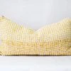 Zuahaza Pitaya Lumbar Pillow Cover