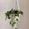 Ceremonia Best Sellers Plant Hanger Basket - Cream
