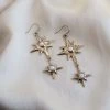 Iron Oxide Special Occasion Polaris Earrings
