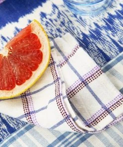 Archive New York San Lucas Plaid Cocktail Napkin Set