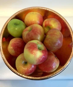 Sertodo Copper Frutera Recycled Copper Bowl