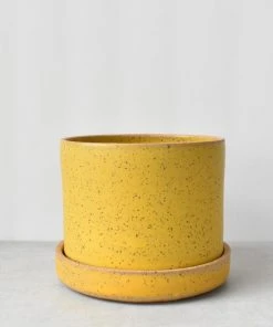 Katie Mudd Best Sellers Simple Dandelion Stoneware Planter Set