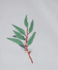 Soil To Studio Best Sellers Amara Linen Curtain Panel 5 Soil To Studio Best Sellers Amara Linen Curtain Panel