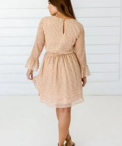 Symbology Leopard Chiffon Dress - Blush + Gold