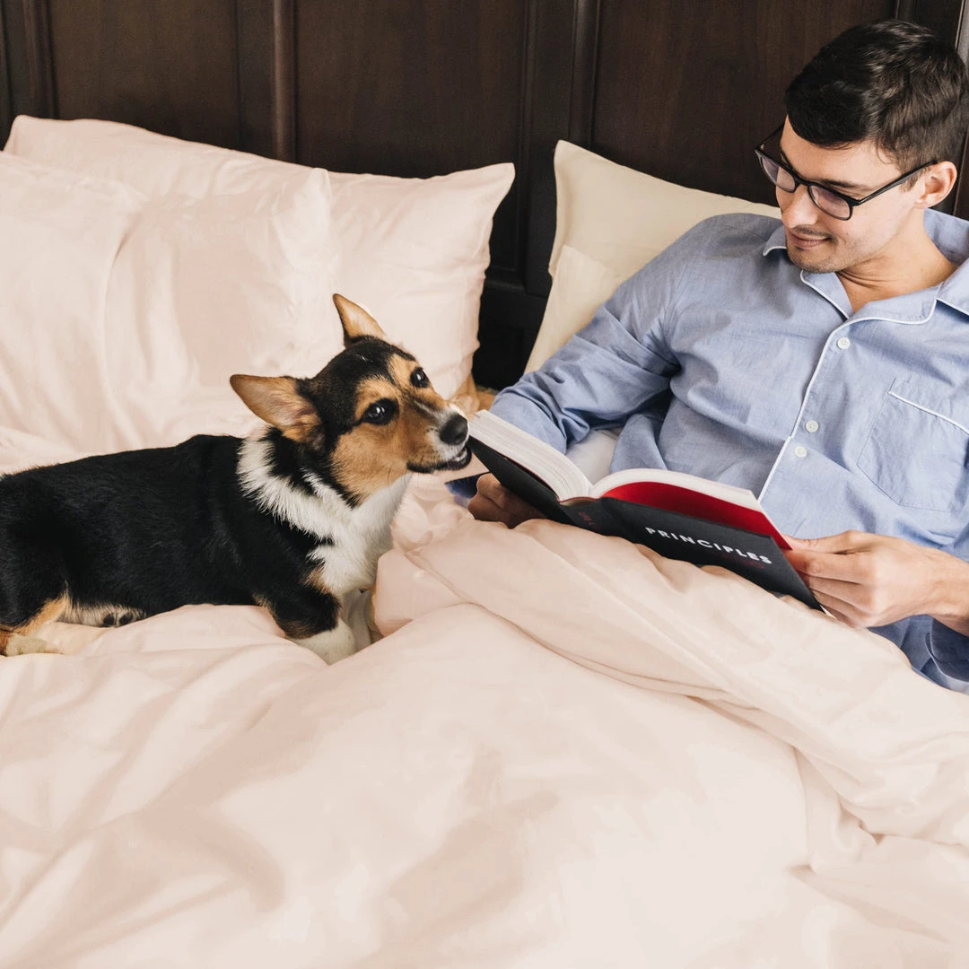 Eucalypso Best Sellers Tencel Eucalyptus Duvet Cover Eucalypso Best Sellers Tencel Eucalyptus Duvet Cover