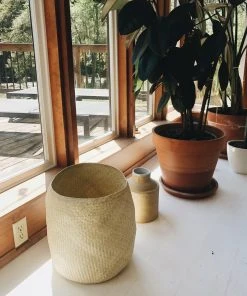 Territory Design Mixta Palm Basket Home Goods