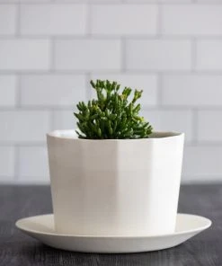 The Bright Angle Home Goods Native Porcelain Planter - Rosemary Green