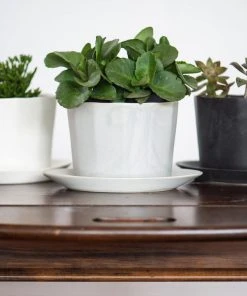 The Bright Angle Native Porcelain Planter - Smoke Gray Home Goods