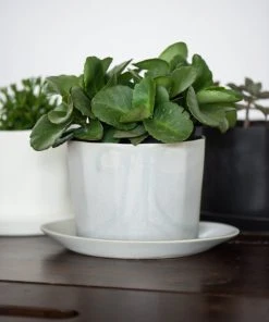 The Bright Angle Native Porcelain Planter - Smoke Gray Home Goods