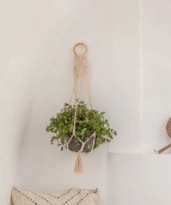 Village Thrive Flora Wall Plant Hanger