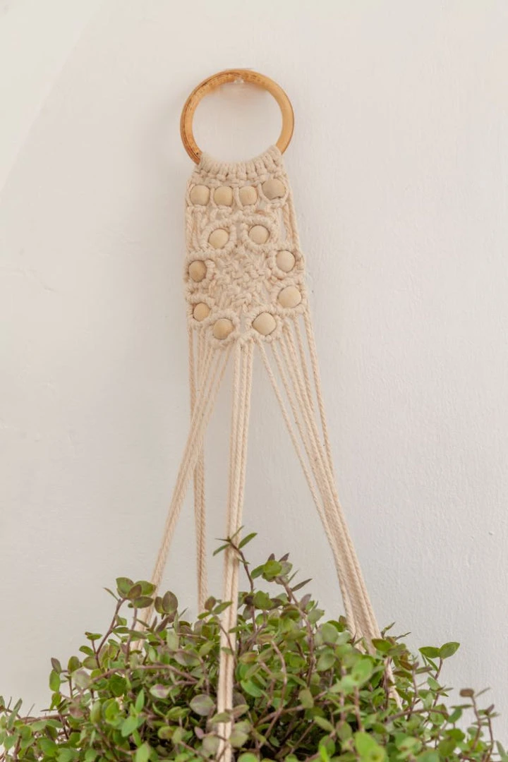 Village Thrive Flora Wall Plant Hanger Village Thrive Flora Wall Plant Hanger