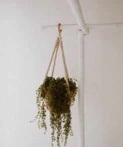 Village Thrive Wood Beaded Plant Hangers Home Goods