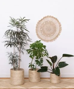 Will & Atlas Round Jute Baskets