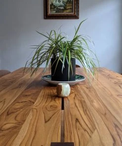 Masaya & Co. Furniture Xiloa Dining Table