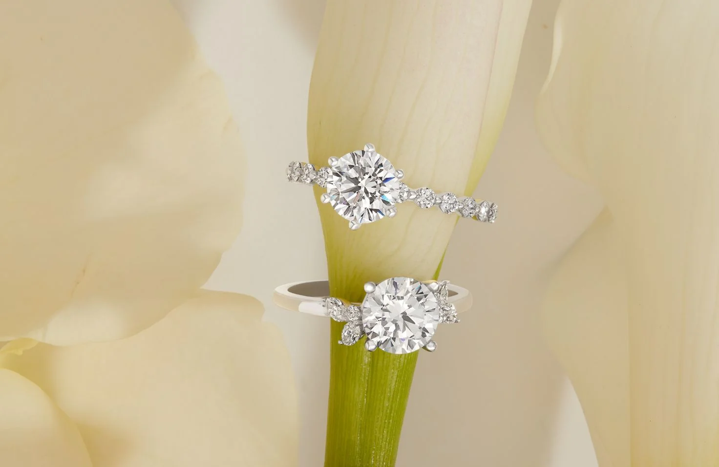 Made Trade Sales -Made Trade Sales Store engagement v3ym8ao5